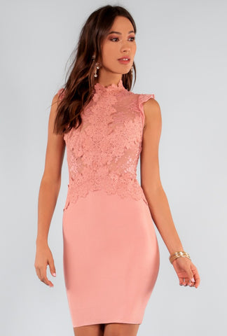 Designer inexpensive online boutique for women - Scallop Sheer Lace Bodycon Dress